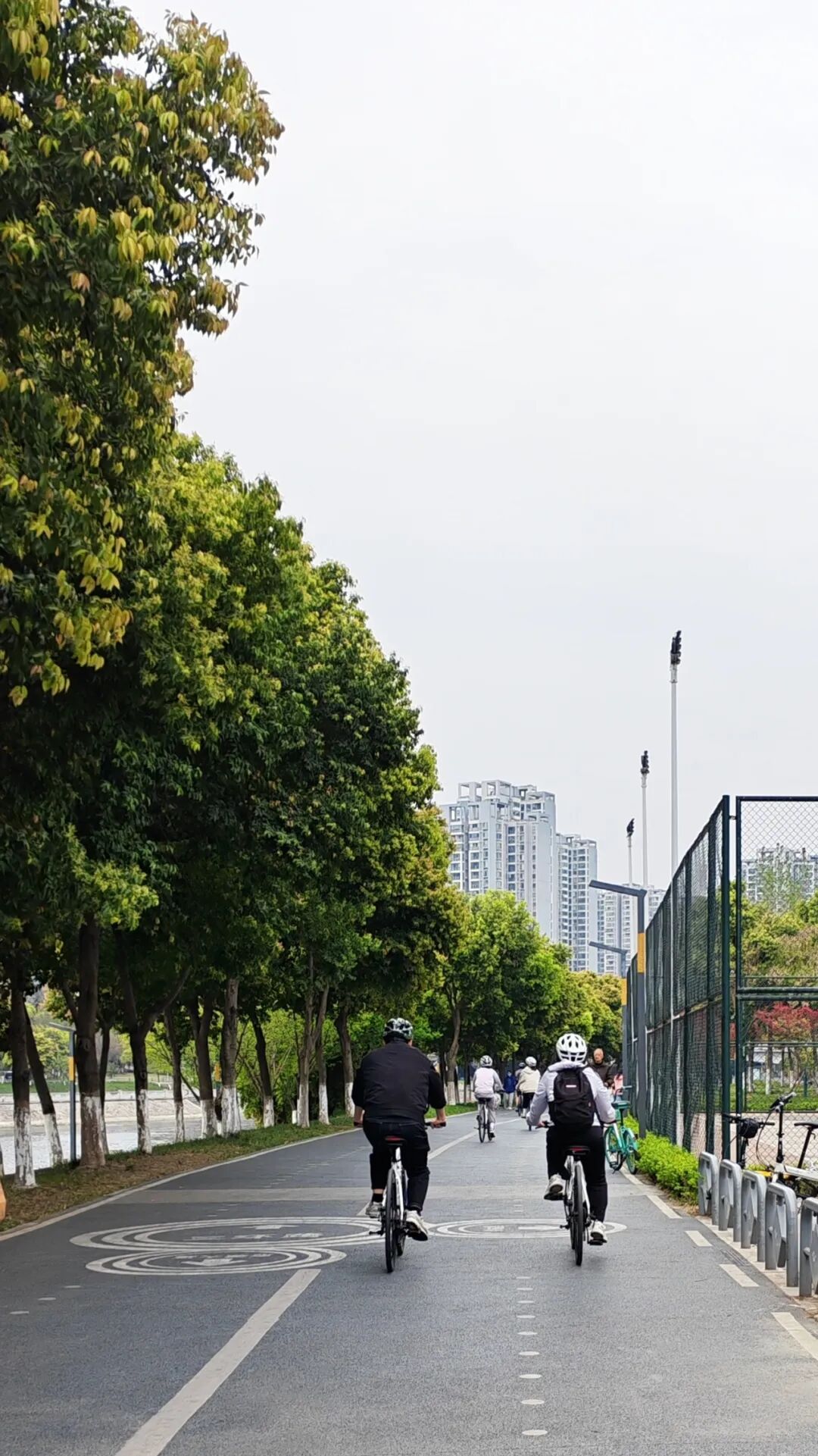 1774406668122808.jpg 20.jpg