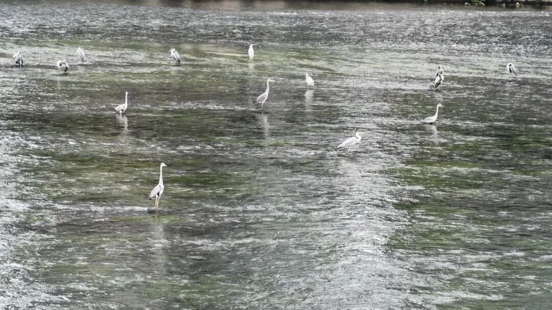 1774406707996185.jpg 23.jpg