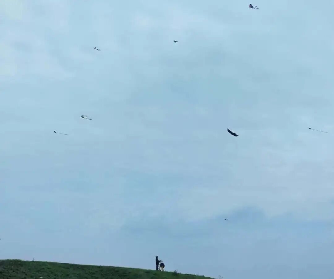 1774406719105440.jpg 24.jpg