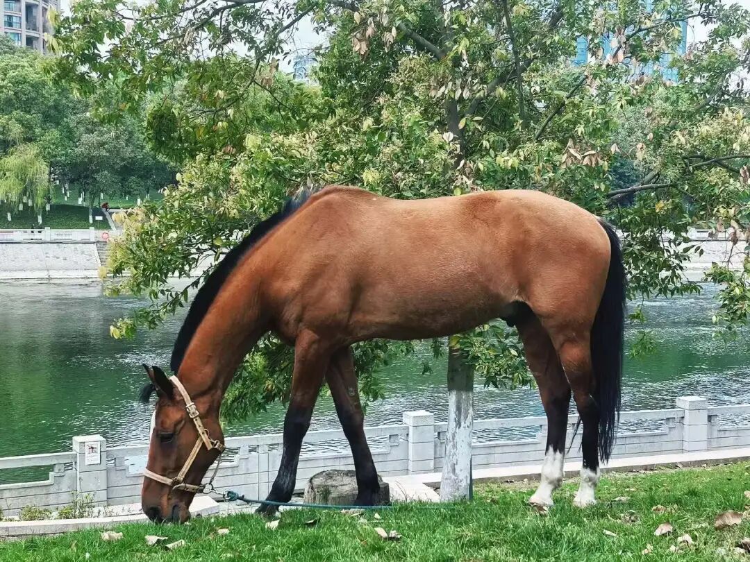 1774406742132116.jpg 25.jpg